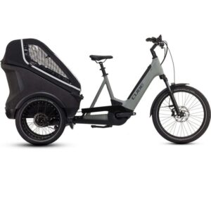 Cube Trike Hybrid Family 1500