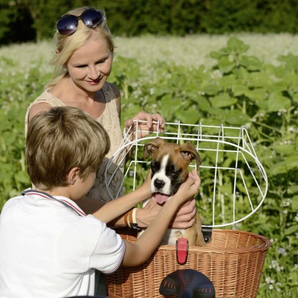 KLICKfix Doggy Basket Plus Fix